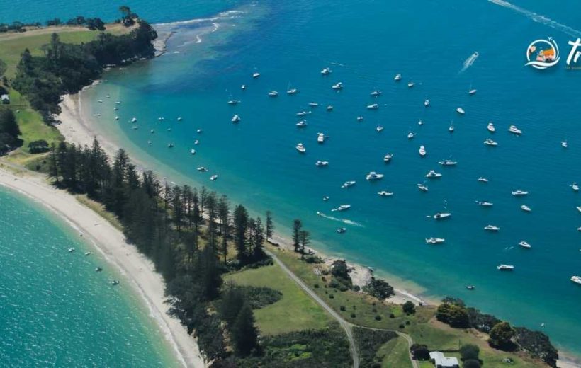 Discover Auckland City in 05 Days