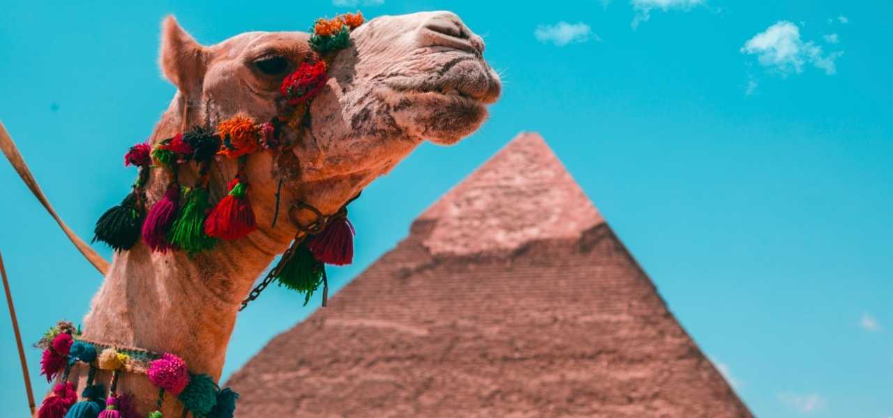 Egypt Camel Ride Tour