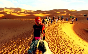 Morocco Travelley