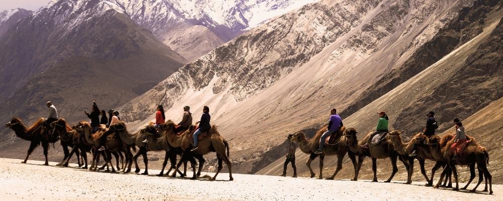 India Ladakh & Manali Tour