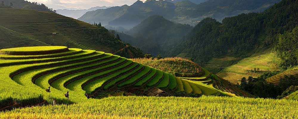 Vietnam Mountain Agriculture
