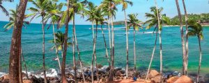Discover Tropical Sri Lanka in 04 Days
