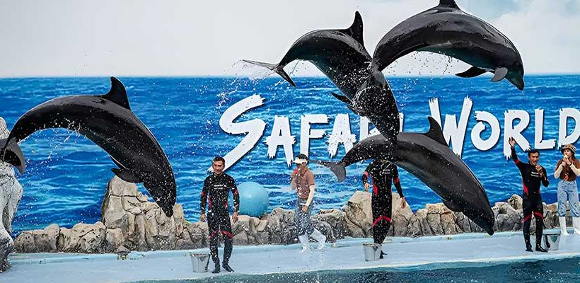 Bangkok Wild Adventure Getaway with Safari World in 3 Days