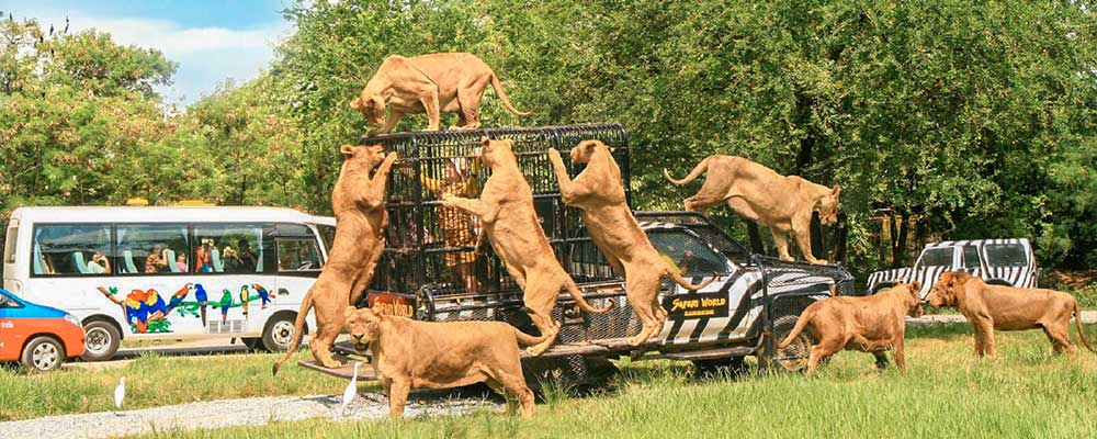 Safari World Thailand