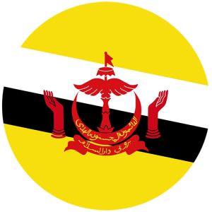Brunei E-Visa